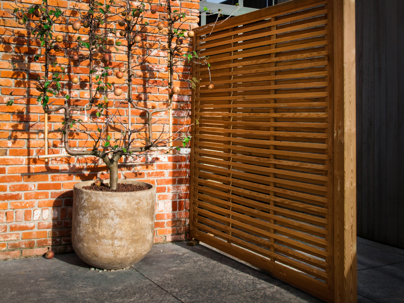 Tuinafsluiting isaura twin pine