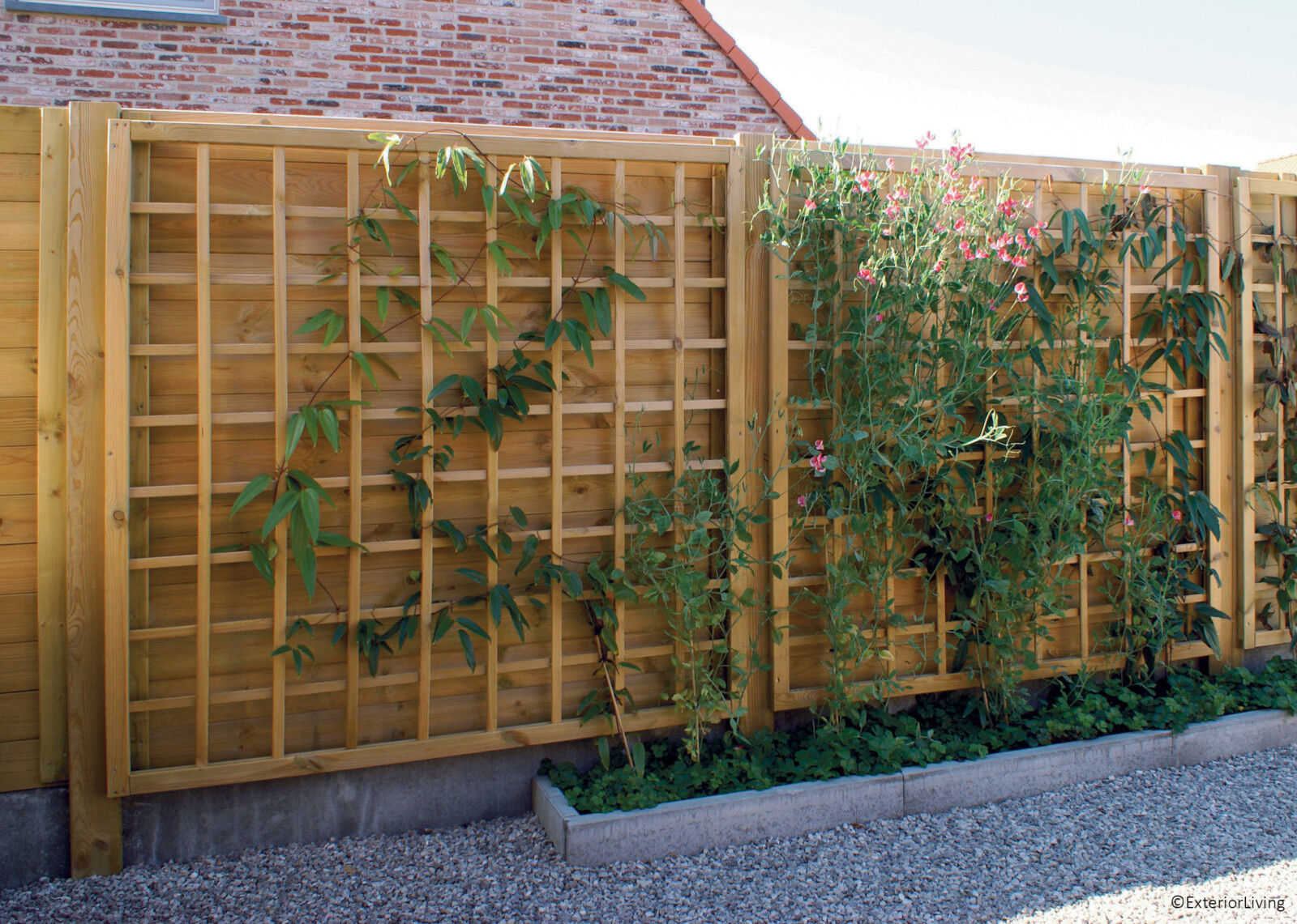 KLIMPLANTSCHERM 3