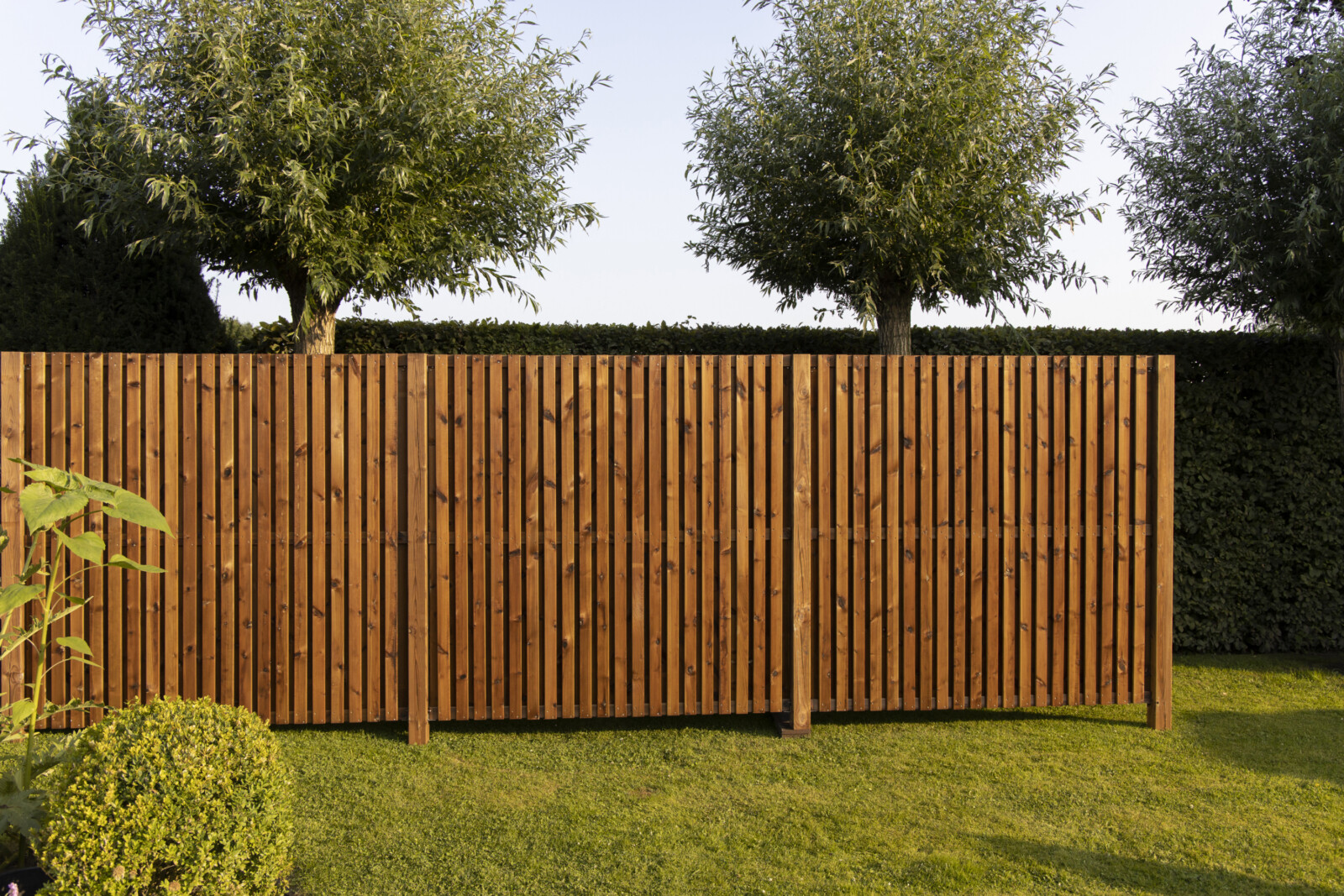 Tuinscherm Villa in tanwood overzicht